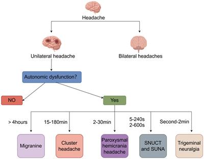 Cluster headache: understandings of current knowledge and directions for whole process management